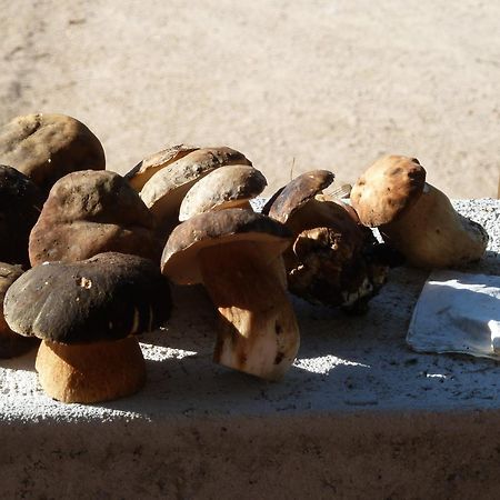 Agriturismo Vaddidulimu ルオゴサント エクステリア 写真