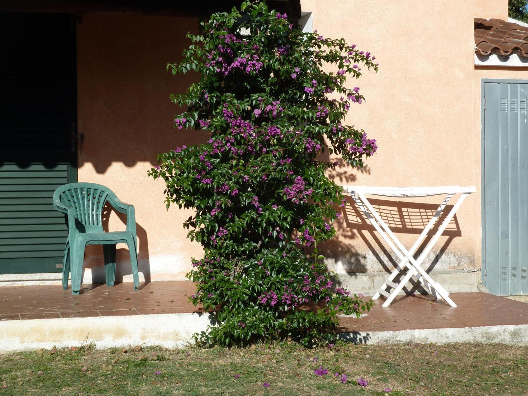 Agriturismo Vaddidulimu ルオゴサント エクステリア 写真