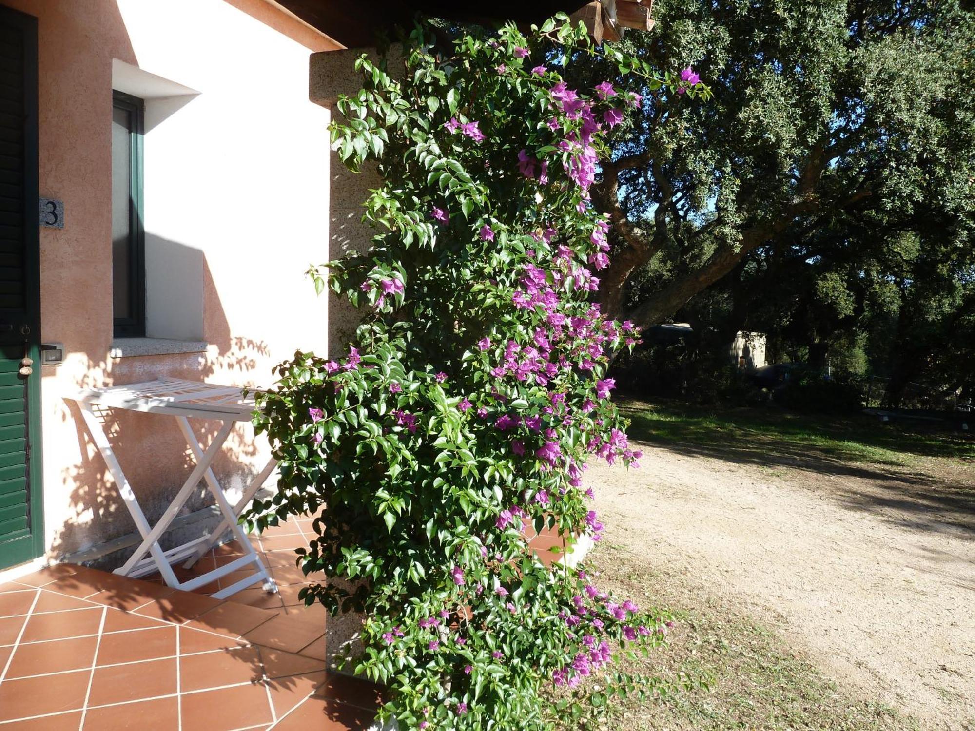 Agriturismo Vaddidulimu ルオゴサント エクステリア 写真