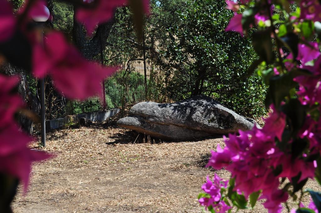 Agriturismo Vaddidulimu ルオゴサント エクステリア 写真