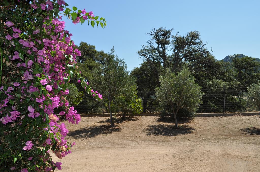Agriturismo Vaddidulimu ルオゴサント エクステリア 写真